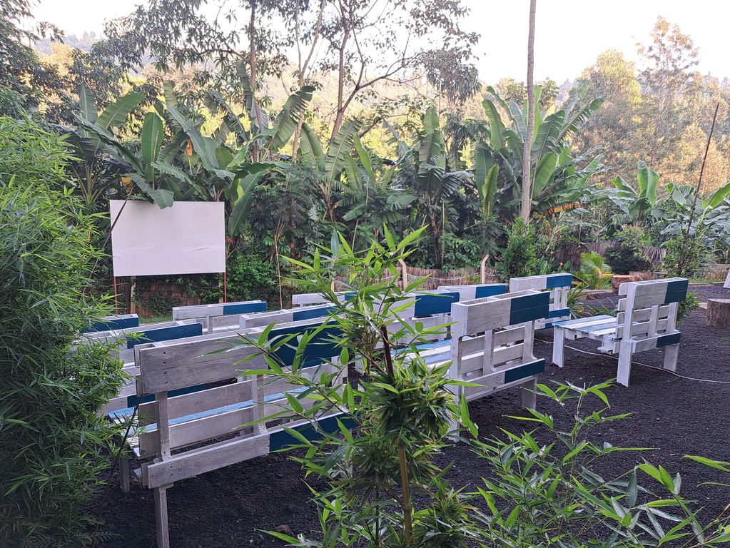 Banana Eco Farm buitenbioscoop